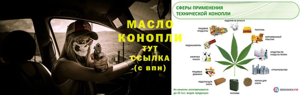 гашик Арсеньев