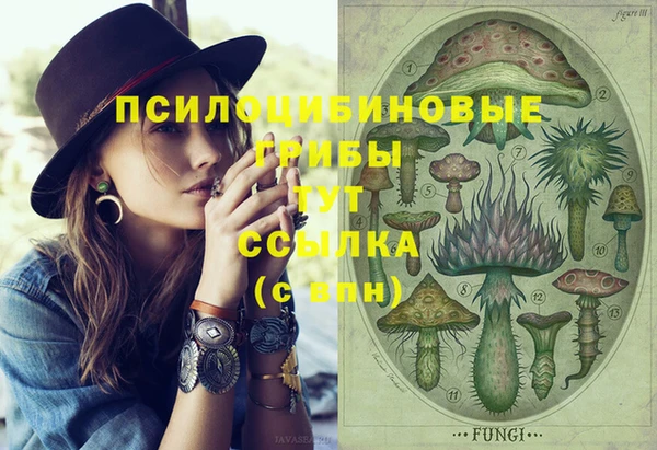 спиды Аркадак