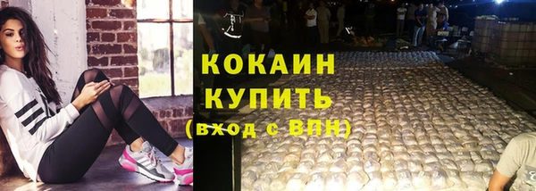 гашик Арсеньев