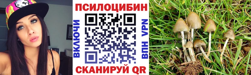Галлюциногенные грибы Psilocybe  Купить где  Балашов 